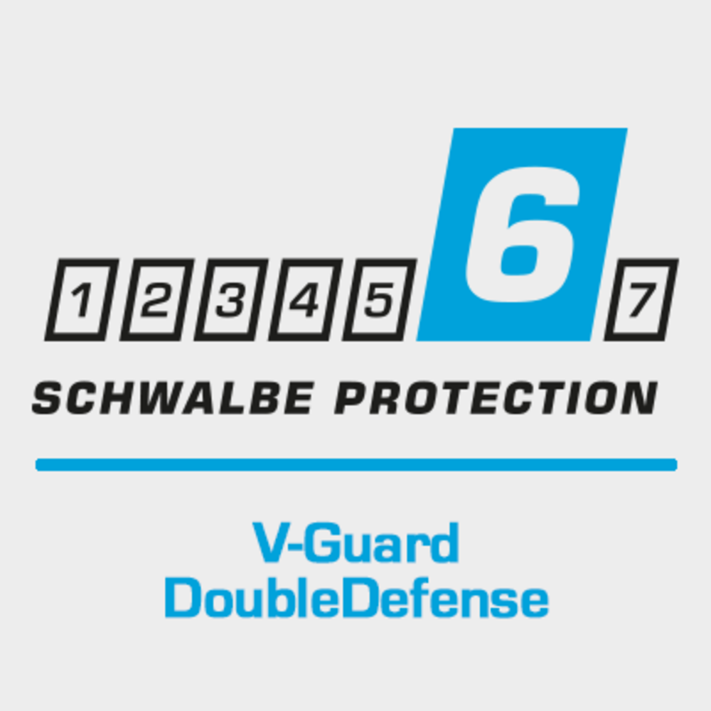 Double Defense, V-Guard