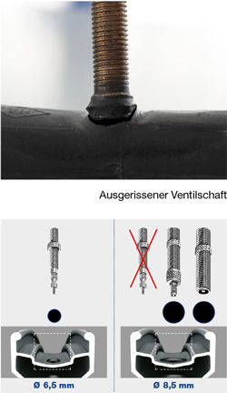 Details about   2 Stück Fahrrad Reifen Ventileinsatz aus Kupfer für alle gängigen Schläuche 